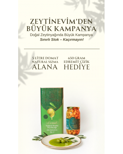 5 Litre Domat Erken Hasat Alana 650 Gr Edremit Çizik Zeytin Hediye